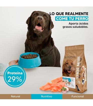 Yerbero Nature Salmon & Rice Comida Premium Hipoalergénico Sin Gluten Para Perros