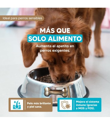 Yerbero Nature Salmon & Rice Comida Premium Hipoalergénico Sin Gluten Para Perros
