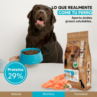 Yerbero Nature Salmón & Rice Comida Premium Hipoalergénico Sin Gluten