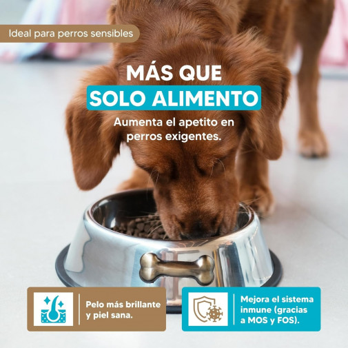 Yerbero Nature Salmón & Rice Comida Premium Hipoalergénico Sin Gluten