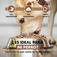 Yerbero Nature Lamb & Rice hipoalergénico sin gluten para perros