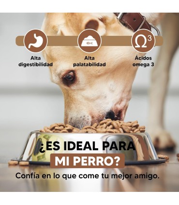 Yerbero Nature Lamb & Rice Comida Premium Hipoalergénico Sin Gluten