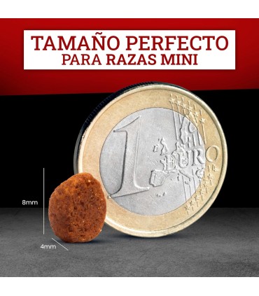 Mini Grain Free Salmon Alimento Sin Cereales Para Perros De Razas Mini