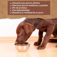 Yerbero Nature Cordero y Arroz Comida Premium Alta Digestibilidad