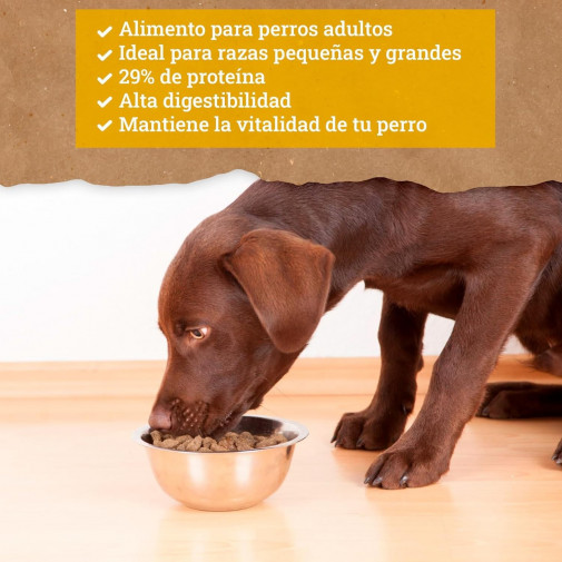 Yerbero Nature Active Pienso Premium Alta Energía Para Perros