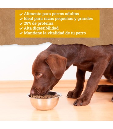 Yerbero Nature Active Comida Premium Para Perros