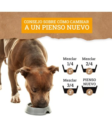 Yerbero Nature Active Comida Premium Para Perros