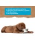 Yerbero Nature Puppy Comida Premium Para Cachorros