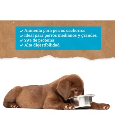 Yerbero Nature Puppy Comida Premium Para Cachorros