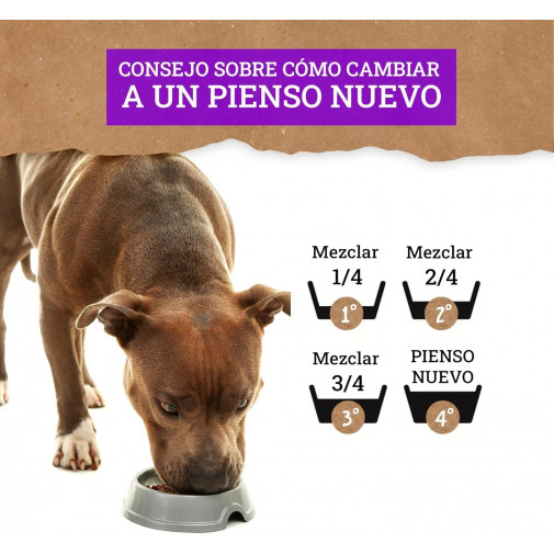 Yerbero Nature Salmón y Arroz | Pienso Premium para Perros Adultos
