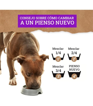 Yerbero Nature Salmón Y Arroz Comida Premium Para Perros