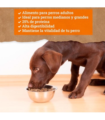 Yerbero Nature Pollo Y Arroz Comida Premium Para Perros
