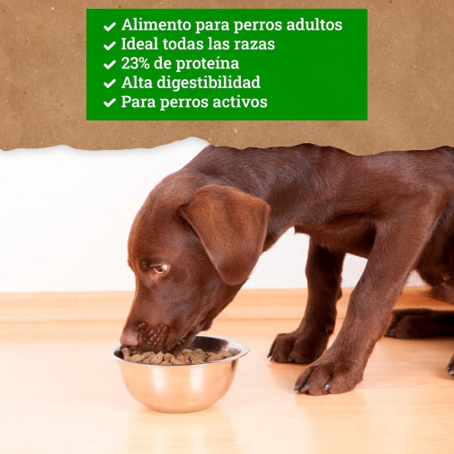 Yerbero Nature Adult Comida Premium Para Perros