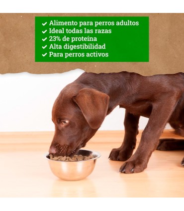 Yerbero Nature Adult Comida Premium Para Perros