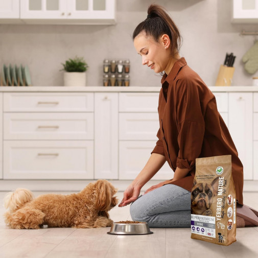 Mini Salmón, Alimento Superpremium Perros De Razas Mini