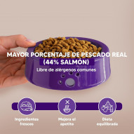 Mini Salmón, Alimento Superpremium Perros De Razas Mini
