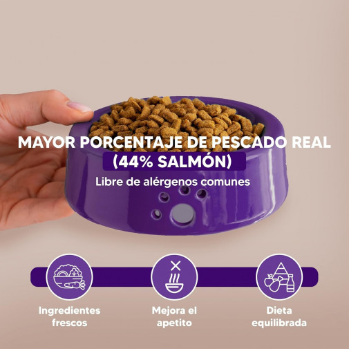 Mini Salmón, Alimento Superpremium Perros De Razas Mini
