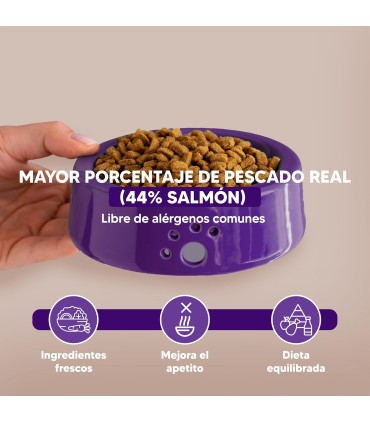 Mini Salmón, Alimento Superpremium Perros De Razas Mini