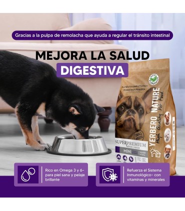 Mini Salmón, Alimento Superpremium Perros De Razas Mini