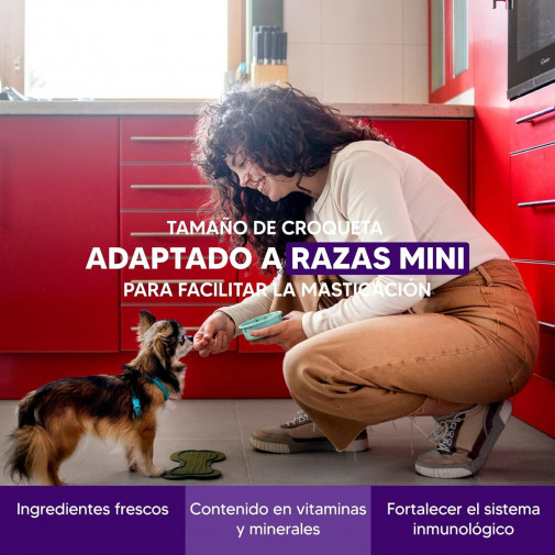 Mini Salmón, Alimento Superpremium Perros De Razas Mini