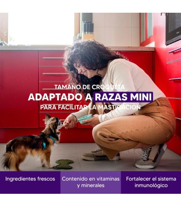 Mini Salmón, Alimento Superpremium Perros De Razas Mini