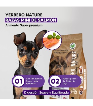 Mini Salmón, Alimento Superpremium Perros De Razas Mini