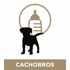 CACHORROS