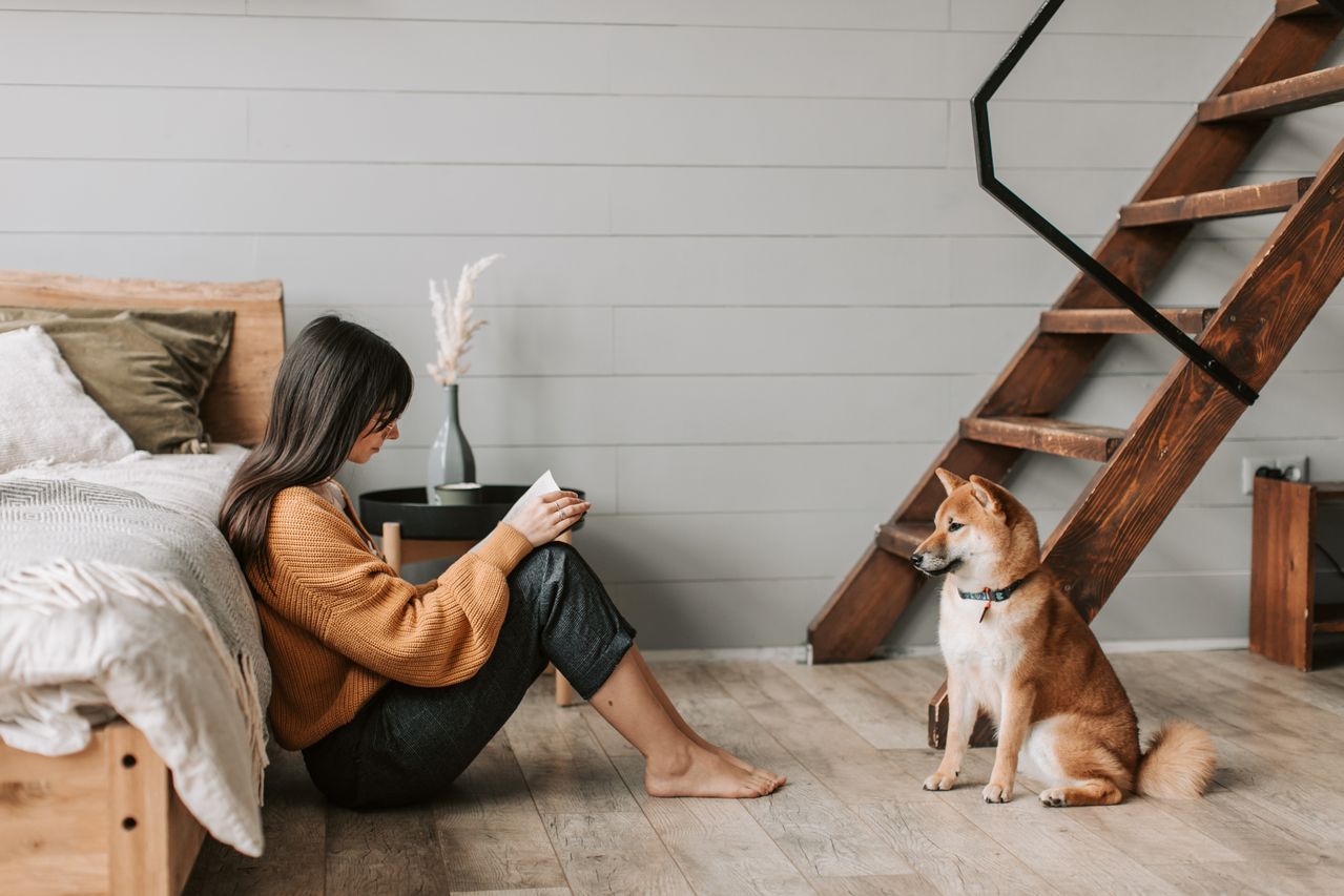 Vuelta a la oficina y la adaptanción de tu perro