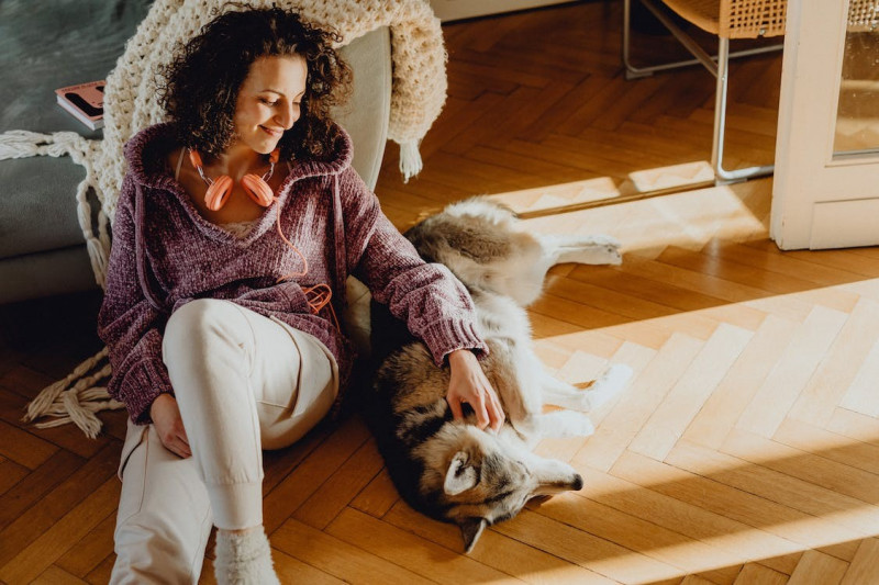 Beneficios de tener un perro como mascota 