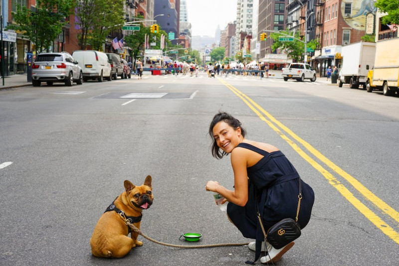 La mejor comida para perros de raza mini 
