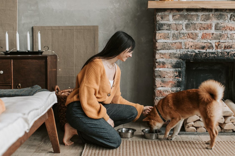 Descubre nuestros piensos sin cereales para perros