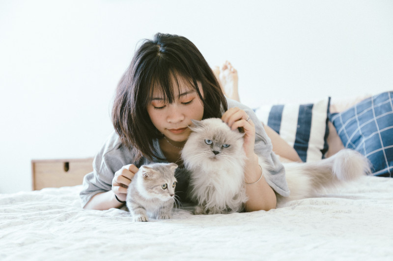 Superpremium Cat Food de Yerbero: la mejor alimentación para tu gato