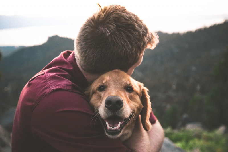 Cuidado y atención para perros con problemas de sordera