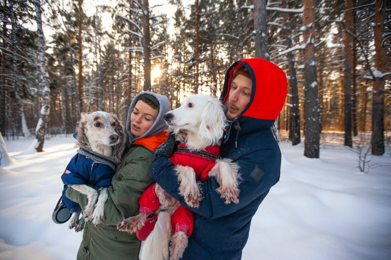 Vestir a los perros en invierno ¿es buena o mala idea? 
