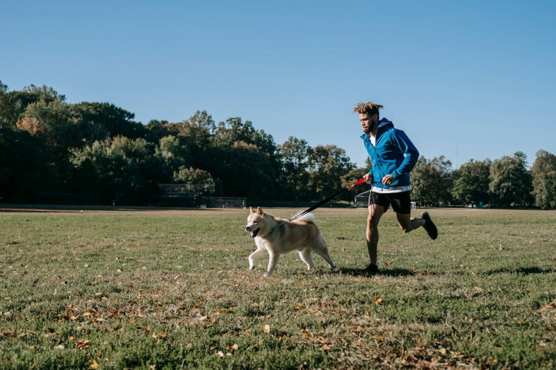 Consejos para correr con tu perro