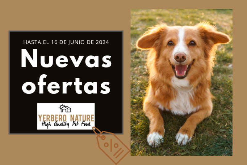 Descubre nuestras nuevas ofertas en comida para perros