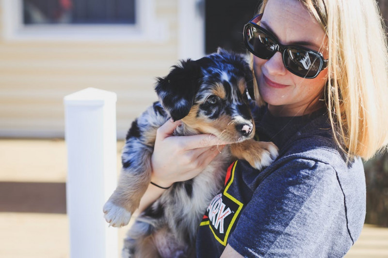 ¿Qué es y cuándo usar el protector solar para perros?