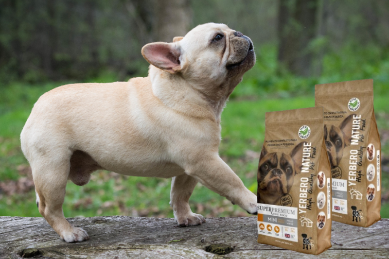 ¡NEW! Alimento superpremium para perros mini pollo y arroz
