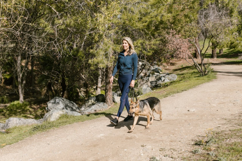 ¡Protege a tu mascota esta primavera! Antiparásitos para perros 