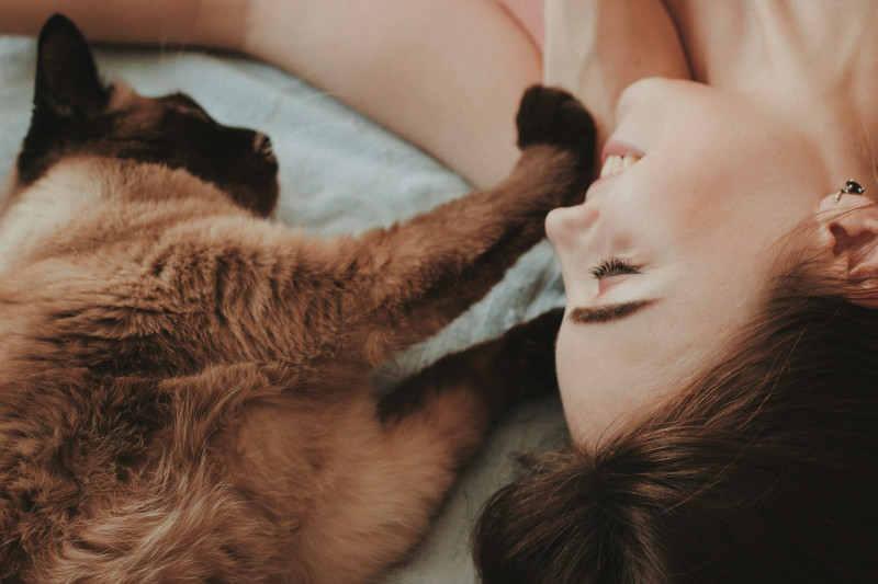 Gatoterapia, los efectos beneficiosos de vivir con un gato