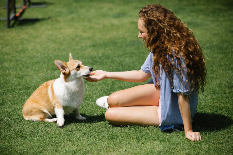 Los beneficios de convivir con perros