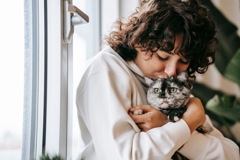 Guía completa de cuidados para gatos mayores