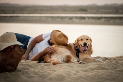 Perros con estómago sensible: cuidados y alimentación adaptada