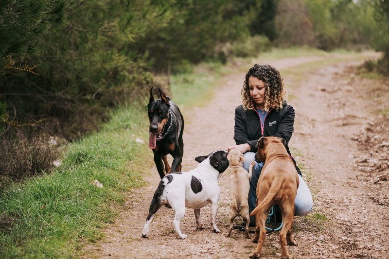 ¿Cómo ayudar a nuestro perro a adaptarse a la vuelta a la rutina? 