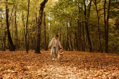 Consejos para el cuidado de perros en otoño 2026