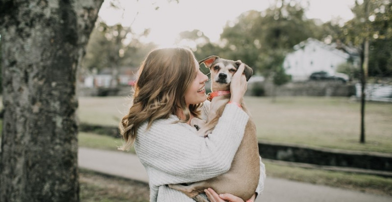 Razones para apostar por la adopción de una mascota 