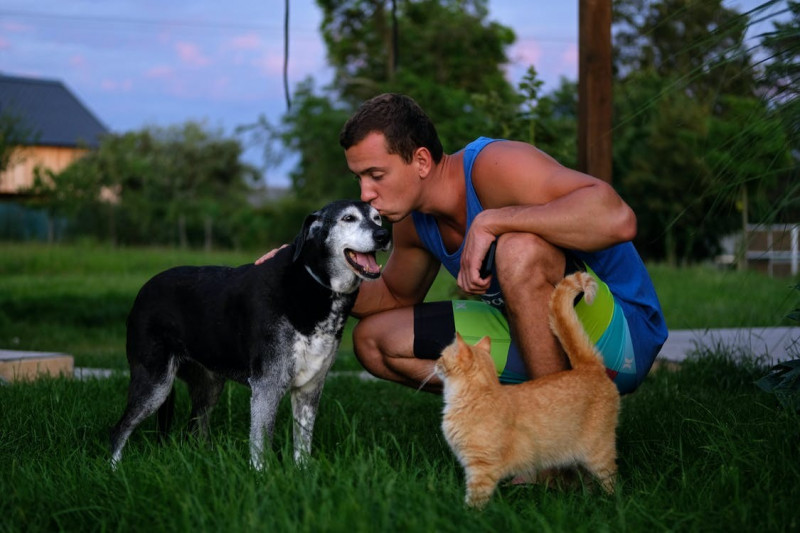 Convivencia entre perros y gatos 