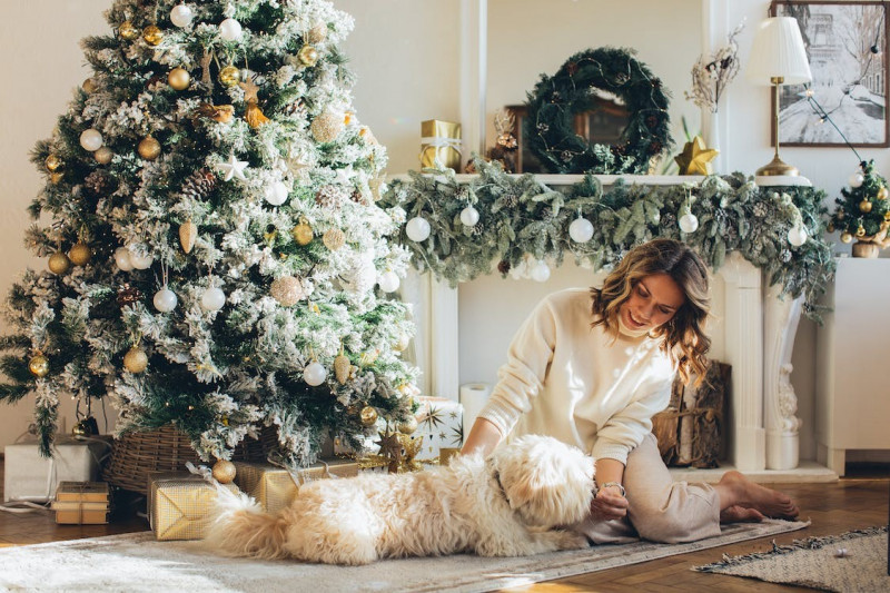 Precauciones que debes tomar en Navidad si tienes mascotas 