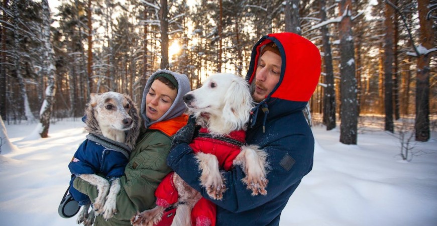 Vestir a los perros en invierno ¿es buena o mala idea? 