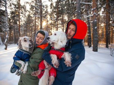Vestir a los perros en invierno ¿es buena o mala idea? 